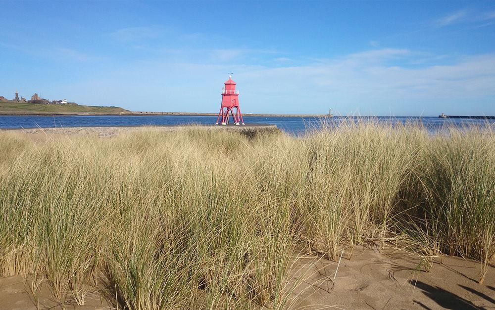 The Little Haven Hotel On The Beach 사우스실즈 외부 사진